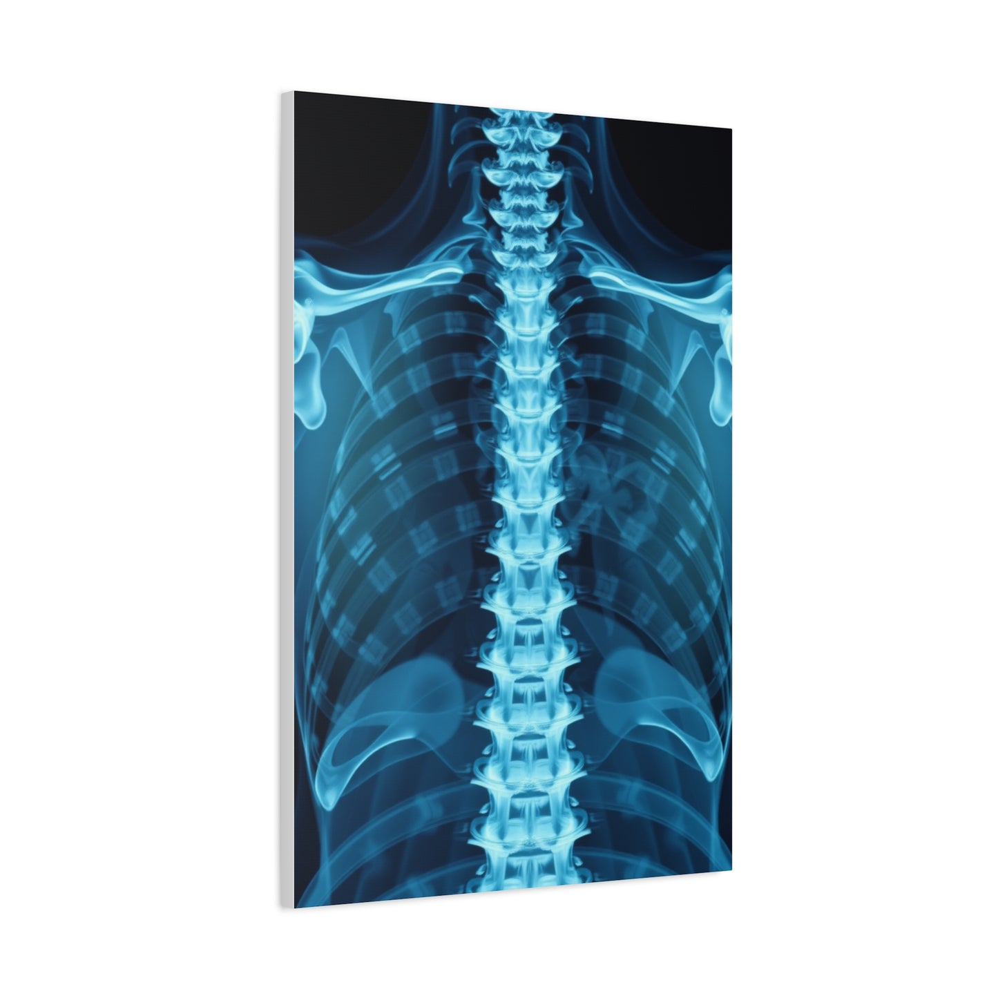 X-Ray Photography Art Supreme Gallery Wall Art & Canvas Print