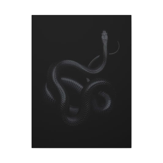 Black Snake's Poster Wall Art & Canvas Prints