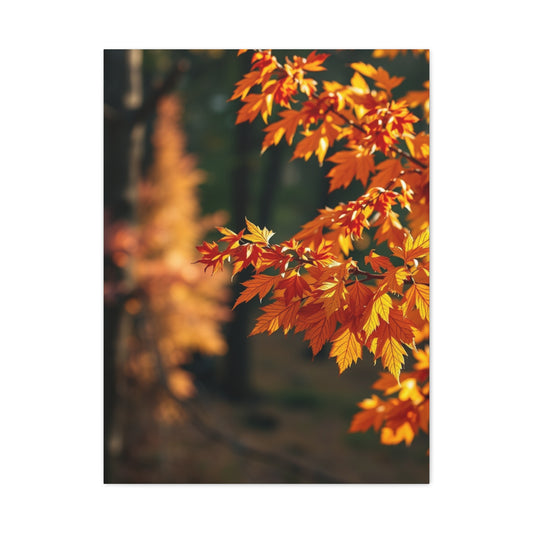 Amber Serenade Artwork Wall Art & Canvas Print