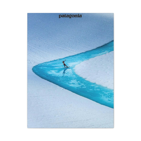 Patagonia River Skiing Wall Art & Canvas Prints