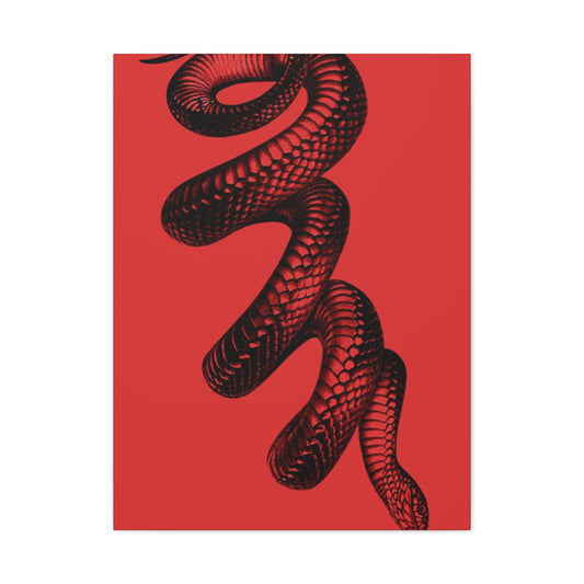 Snake On Red Wall Art & Canvas Prints