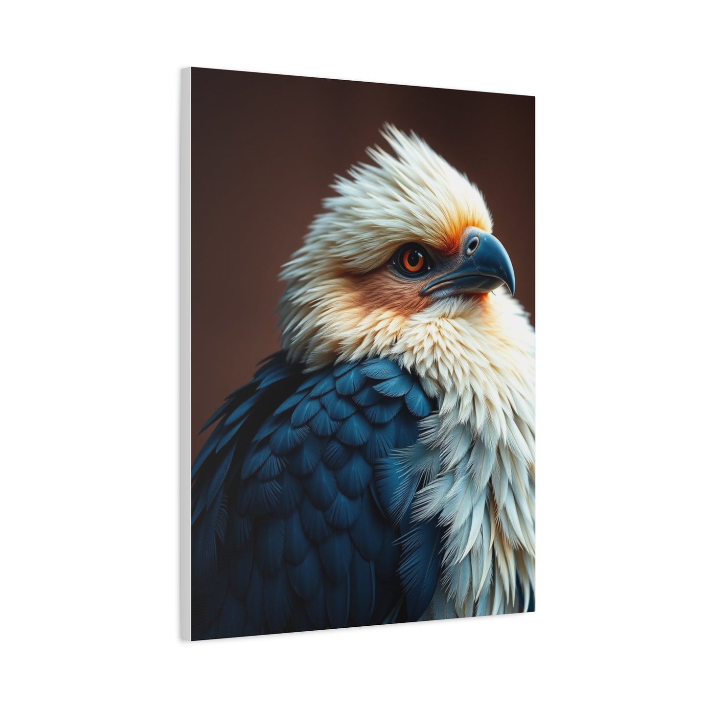 Aerial Ballet Composition Wall Art & Canvas Print