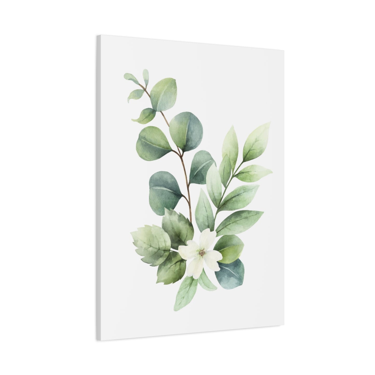 Eucalyptus Plant Light Wall Art & Canvas Prints