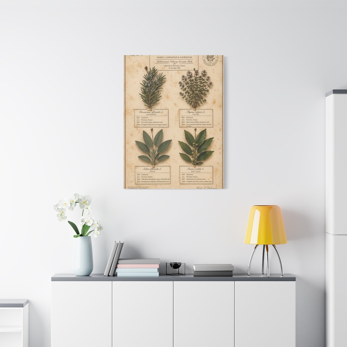 Vintage Herbarium Culinary Study Wall Art & Canvas Print